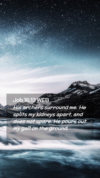 Picture 02 - Job 16:13 WEB Mobile Phone Wallpaper - His archers surround me. He splits my kidneys - Mobile Bible Verse Wallpaper