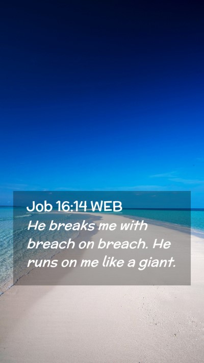 Picture 02 - Job 16:14 WEB Mobile Phone Wallpaper - He breaks me with breach on breach. He runs on me - Mobile Bible Verse Wallpaper