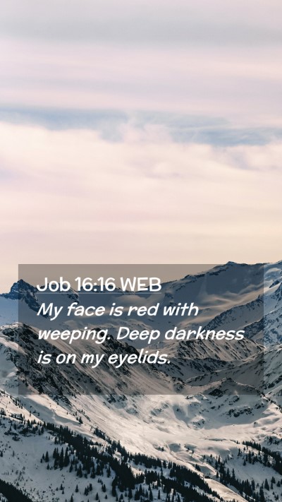 Picture 02 - Job 16:16 WEB Mobile Phone Wallpaper - My face is red with weeping. Deep darkness is on - Mobile Bible Verse Wallpaper