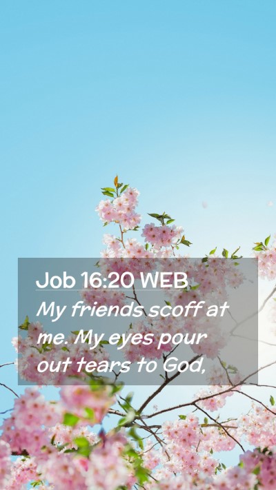 Picture 02 - Job 16:20 WEB Mobile Phone Wallpaper - My friends scoff at me. My eyes pour out tears to - Mobile Bible Verse Wallpaper