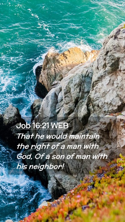 Picture 02 - Job 16:21 WEB Mobile Phone Wallpaper - That he would maintain the right of a man with - Mobile Bible Verse Wallpaper