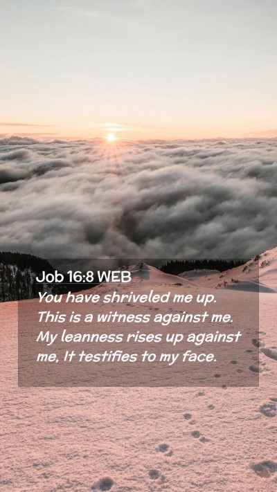 Picture 02 - Job 16:8 WEB Mobile Phone Wallpaper - You have shriveled me up. This is a witness - Mobile Bible Verse Wallpaper