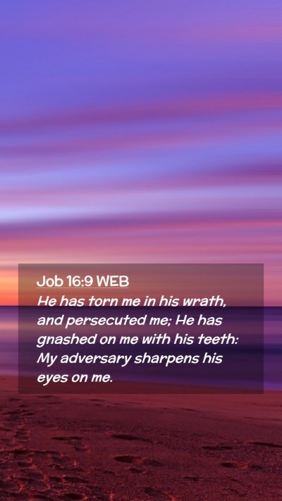 Picture 02 - Job 16:9 WEB Mobile Phone Wallpaper - He has torn me in his wrath, and persecuted me; - Mobile Bible Verse Wallpaper