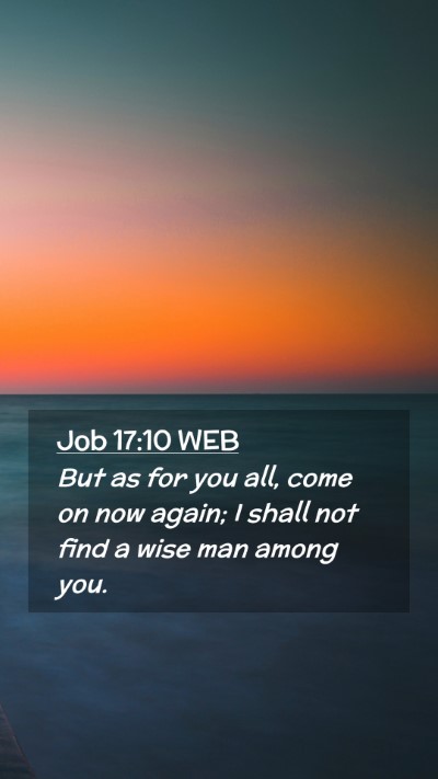 Picture 02 - Job 17:10 WEB Mobile Phone Wallpaper - But as for you all, come on now again; I shall - Mobile Bible Verse Wallpaper