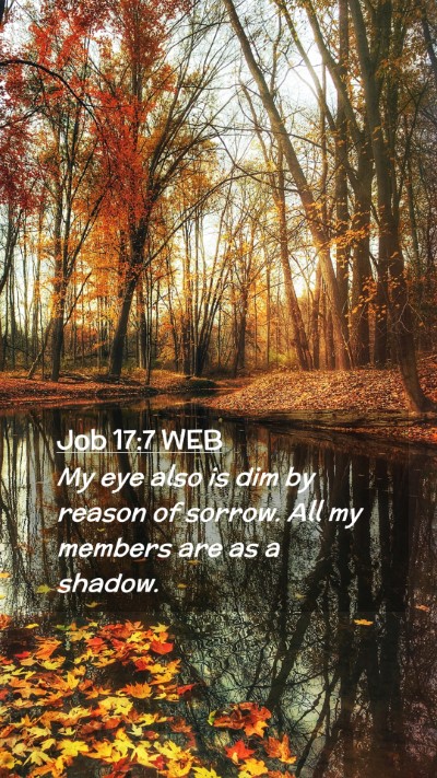 Picture 02 - Job 17:7 WEB Mobile Phone Wallpaper - My eye also is dim by reason of sorrow. All my - Mobile Bible Verse Wallpaper