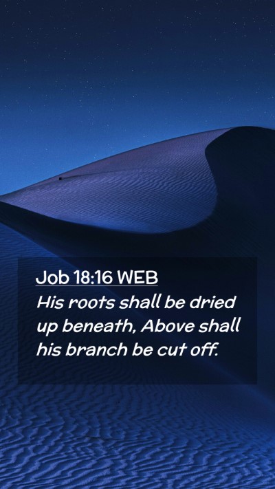Picture 02 - Job 18:16 WEB Mobile Phone Wallpaper - His roots shall be dried up beneath, Above shall - Mobile Bible Verse Wallpaper
