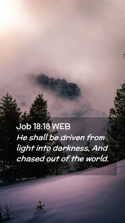 Picture 02 - Job 18:18 WEB Mobile Phone Wallpaper - He shall be driven from light into darkness, And - Mobile Bible Verse Wallpaper