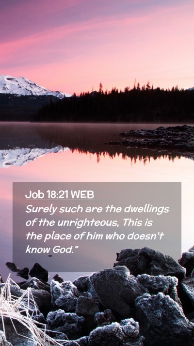 Picture 02 - Job 18:21 WEB Mobile Phone Wallpaper - Surely such are the dwellings of the unrighteous, - Mobile Bible Verse Wallpaper