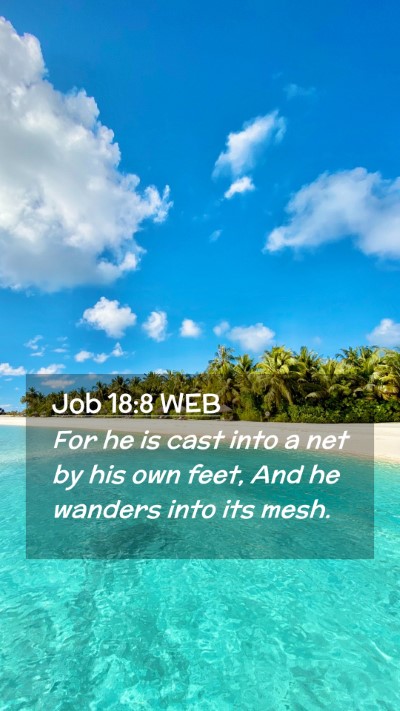Picture 02 - Job 18:8 WEB Mobile Phone Wallpaper - For he is cast into a net by his own feet, And he - Mobile Bible Verse Wallpaper