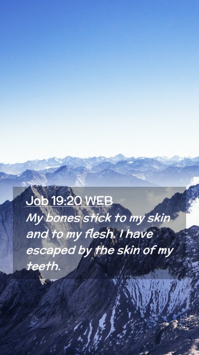 Picture 02 - Job 19:20 WEB Mobile Phone Wallpaper - My bones stick to my skin and to my flesh. I have - Mobile Bible Verse Wallpaper