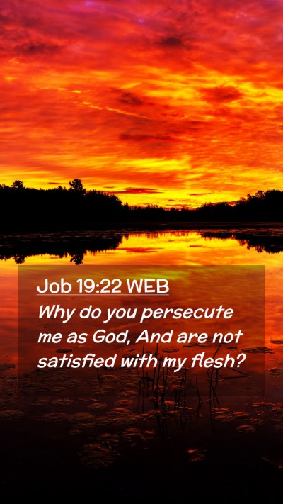 Picture 02 - Job 19:22 WEB Mobile Phone Wallpaper - Why do you persecute me as God, And are not - Mobile Bible Verse Wallpaper
