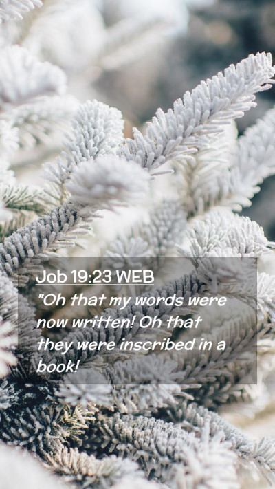 Picture 02 - Job 19:23 WEB Mobile Phone Wallpaper - 