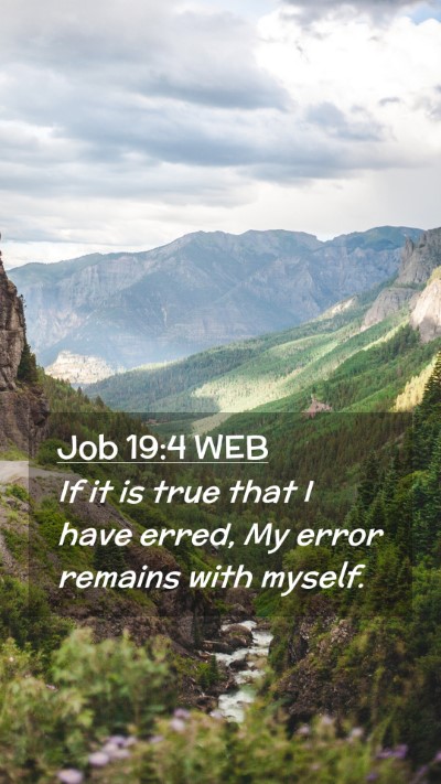 Picture 02 - Job 19:4 WEB Mobile Phone Wallpaper - If it is true that I have erred, My error remains - Mobile Bible Verse Wallpaper