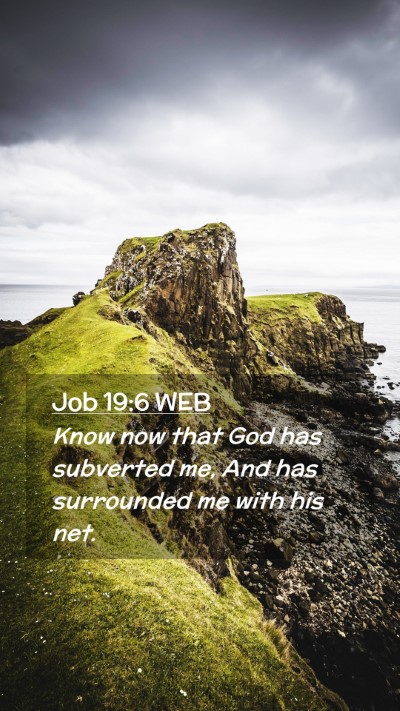 Picture 02 - Job 19:6 WEB Mobile Phone Wallpaper - Know now that God has subverted me, And has - Mobile Bible Verse Wallpaper