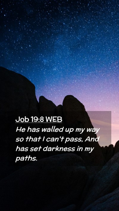 Picture 02 - Job 19:8 WEB Mobile Phone Wallpaper - He has walled up my way so that I can't pass, And - Mobile Bible Verse Wallpaper