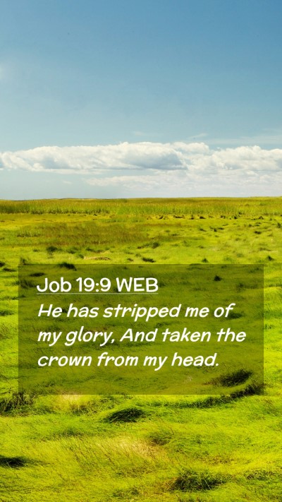 Picture 02 - Job 19:9 WEB Mobile Phone Wallpaper - He has stripped me of my glory, And taken the - Mobile Bible Verse Wallpaper