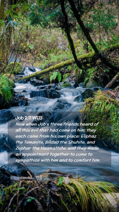Picture 02 - Job 2:11 WEB Mobile Phone Wallpaper - Now when Job's three friends heard of all this - Mobile Bible Verse Wallpaper