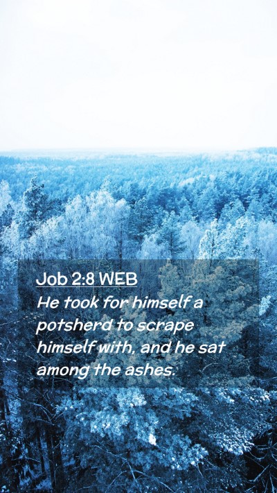 Picture 02 - Job 2:8 WEB Mobile Phone Wallpaper - He took for himself a potsherd to scrape himself - Mobile Bible Verse Wallpaper