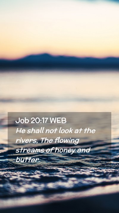 Picture 02 - Job 20:17 WEB Mobile Phone Wallpaper - He shall not look at the rivers, The flowing - Mobile Bible Verse Wallpaper