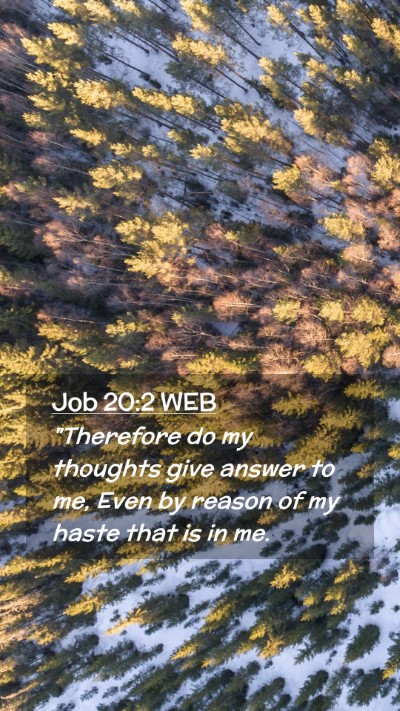 Picture 02 - Job 20:2 WEB Mobile Phone Wallpaper - 
