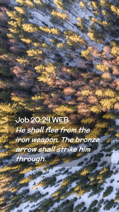 Picture 02 - Job 20:24 WEB Mobile Phone Wallpaper - He shall flee from the iron weapon. The bronze - Mobile Bible Verse Wallpaper