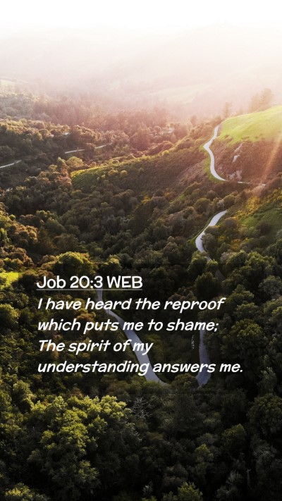 Picture 02 - Job 20:3 WEB Mobile Phone Wallpaper - I have heard the reproof which puts me to shame; - Mobile Bible Verse Wallpaper