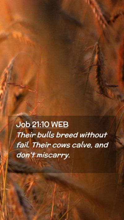 Picture 02 - Job 21:10 WEB Mobile Phone Wallpaper - Their bulls breed without fail. Their cows calve, - Mobile Bible Verse Wallpaper