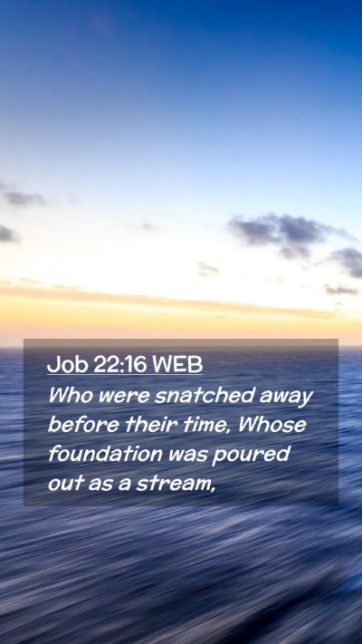 Picture 02 - Job 22:16 WEB Mobile Phone Wallpaper - Who were snatched away before their time, Whose - Mobile Bible Verse Wallpaper