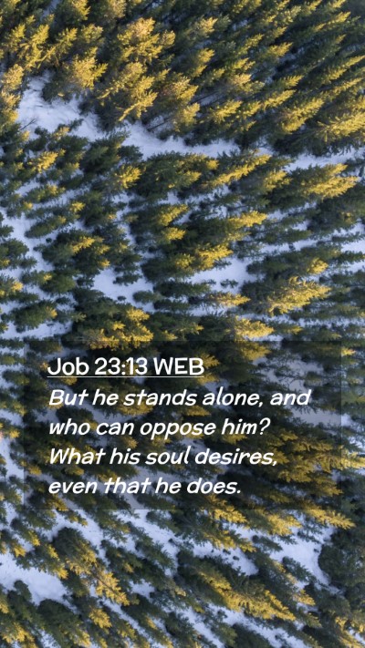 Picture 02 - Job 23:13 WEB Mobile Phone Wallpaper - But he stands alone, and who can oppose him? What - Mobile Bible Verse Wallpaper