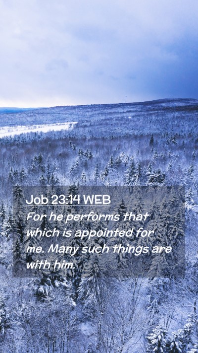 Picture 02 - Job 23:14 WEB Mobile Phone Wallpaper - For he performs that which is appointed for me. - Mobile Bible Verse Wallpaper