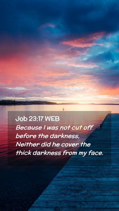 Picture 02 - Job 23:17 WEB Mobile Phone Wallpaper - Because I was not cut off before the darkness, - Mobile Bible Verse Wallpaper