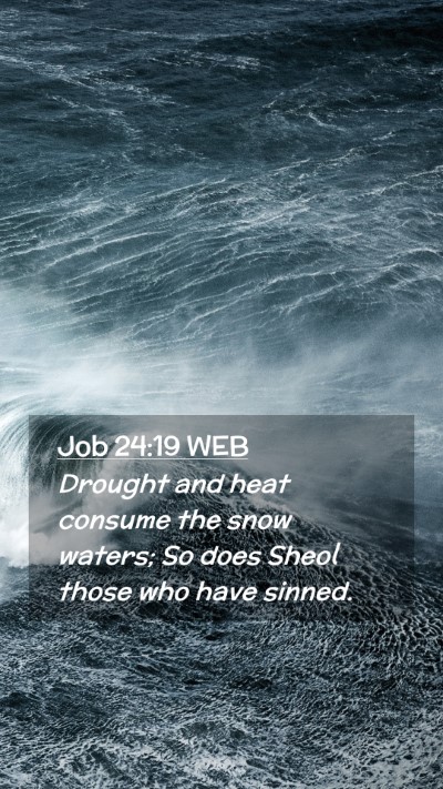 Picture 02 - Job 24:19 WEB Mobile Phone Wallpaper - Drought and heat consume the snow waters; So does - Mobile Bible Verse Wallpaper