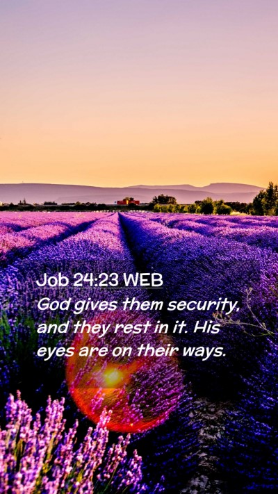 Picture 02 - Job 24:23 WEB Mobile Phone Wallpaper - God gives them security, and they rest in it. His - Mobile Bible Verse Wallpaper