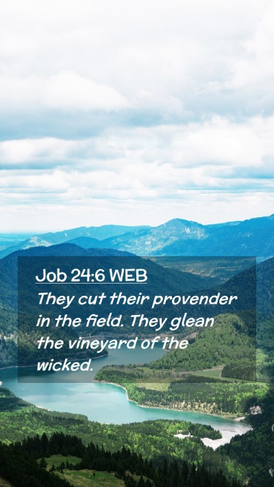 Picture 02 - Job 24:6 WEB Mobile Phone Wallpaper - They cut their provender in the field. They glean - Mobile Bible Verse Wallpaper