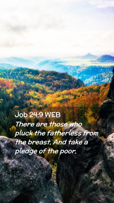 Picture 02 - Job 24:9 WEB Mobile Phone Wallpaper - There are those who pluck the fatherless from the - Mobile Bible Verse Wallpaper