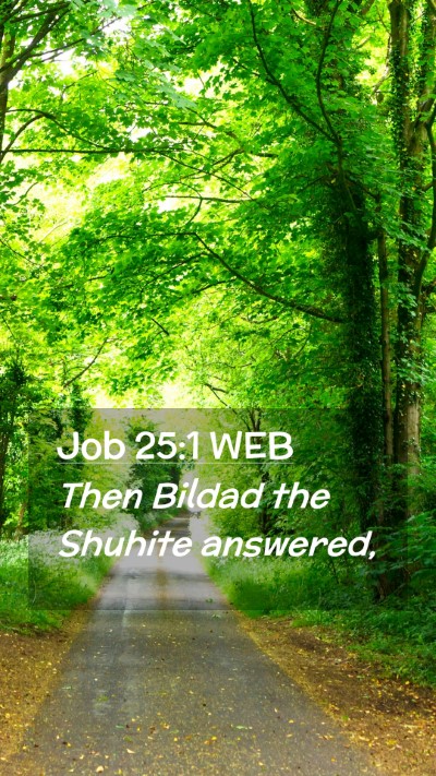 Picture 02 - Job 25:1 WEB Mobile Phone Wallpaper - Then Bildad the Shuhite - Mobile Bible Verse Wallpaper
