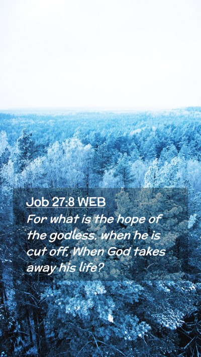 Picture 02 - Job 27:8 WEB Mobile Phone Wallpaper - For what is the hope of the godless, when he is - Mobile Bible Verse Wallpaper
