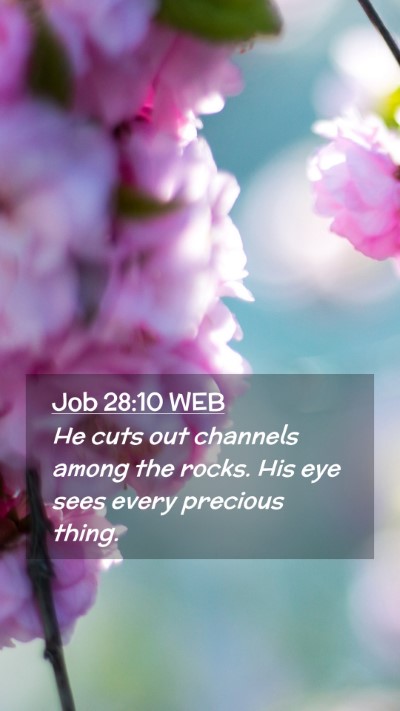 Picture 02 - Job 28:10 WEB Mobile Phone Wallpaper - He cuts out channels among the rocks. His eye - Mobile Bible Verse Wallpaper