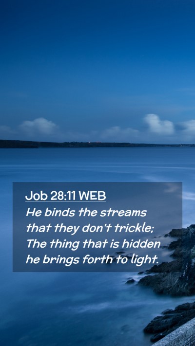 Picture 02 - Job 28:11 WEB Mobile Phone Wallpaper - He binds the streams that they don't trickle; The - Mobile Bible Verse Wallpaper