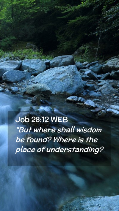 Picture 02 - Job 28:12 WEB Mobile Phone Wallpaper - 