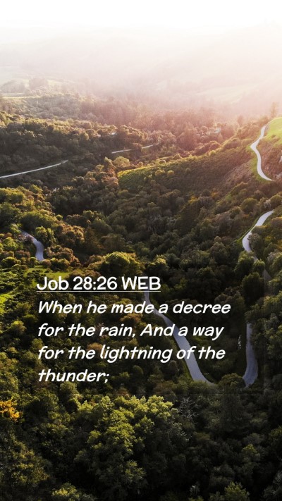 Picture 02 - Job 28:26 WEB Mobile Phone Wallpaper - When he made a decree for the rain, And a way for - Mobile Bible Verse Wallpaper