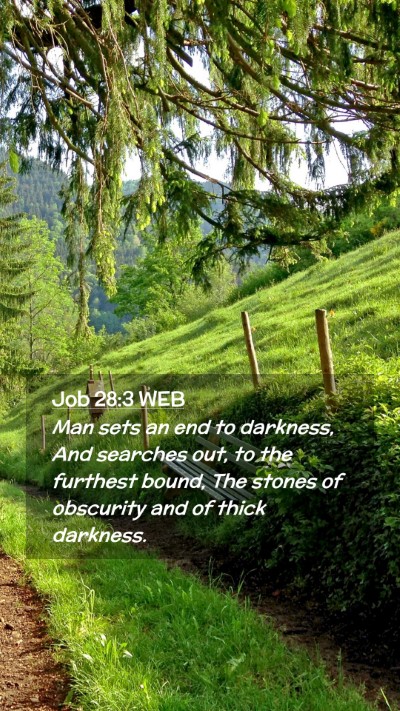 Picture 02 - Job 28:3 WEB Mobile Phone Wallpaper - Man sets an end to darkness, And searches out, to - Mobile Bible Verse Wallpaper