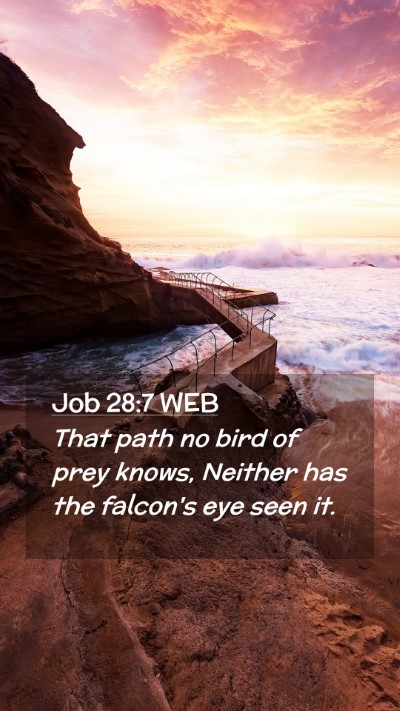 Picture 02 - Job 28:7 WEB Mobile Phone Wallpaper - That path no bird of prey knows, Neither has the - Mobile Bible Verse Wallpaper