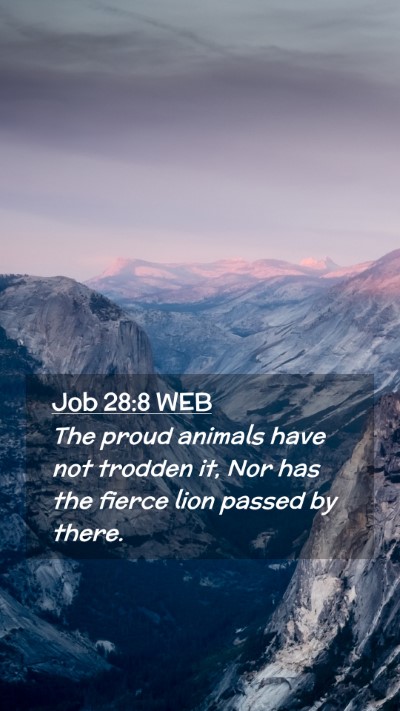 Picture 02 - Job 28:8 WEB Mobile Phone Wallpaper - The proud animals have not trodden it, Nor has - Mobile Bible Verse Wallpaper
