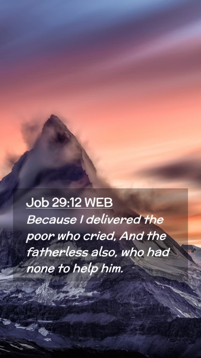 Picture 02 - Job 29:12 WEB Mobile Phone Wallpaper - Because I delivered the poor who cried, And the - Mobile Bible Verse Wallpaper