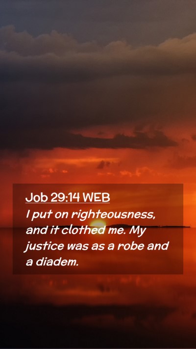 Picture 02 - Job 29:14 WEB Mobile Phone Wallpaper - I put on righteousness, and it clothed me. My - Mobile Bible Verse Wallpaper