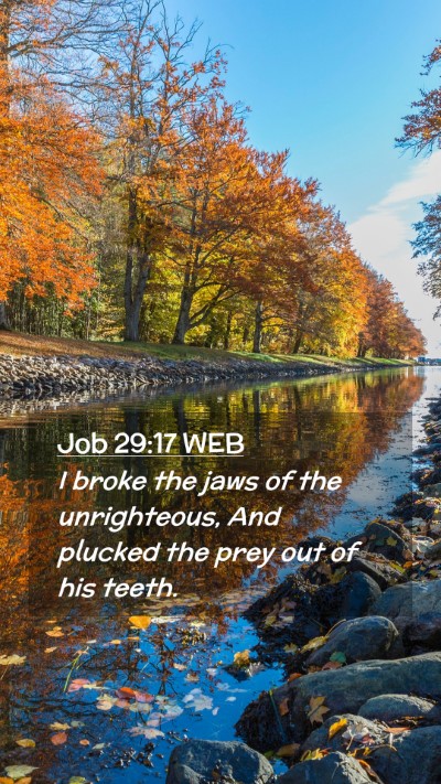 Picture 02 - Job 29:17 WEB Mobile Phone Wallpaper - I broke the jaws of the unrighteous, And plucked - Mobile Bible Verse Wallpaper
