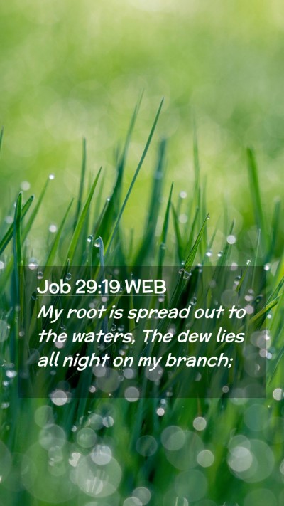 Picture 02 - Job 29:19 WEB Mobile Phone Wallpaper - My root is spread out to the waters, The dew lies - Mobile Bible Verse Wallpaper