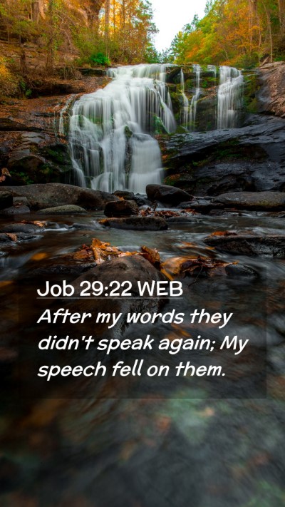 Picture 02 - Job 29:22 WEB Mobile Phone Wallpaper - After my words they didn't speak again; My speech - Mobile Bible Verse Wallpaper
