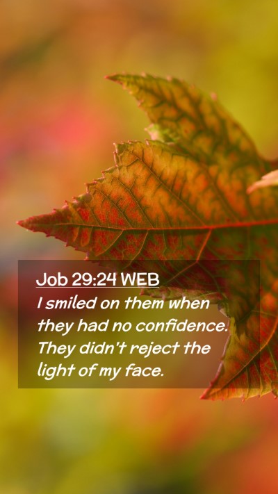 Picture 02 - Job 29:24 WEB Mobile Phone Wallpaper - I smiled on them when they had no confidence. - Mobile Bible Verse Wallpaper